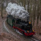 Der Rasende Roland auf dem Weg zum Jagdschloß