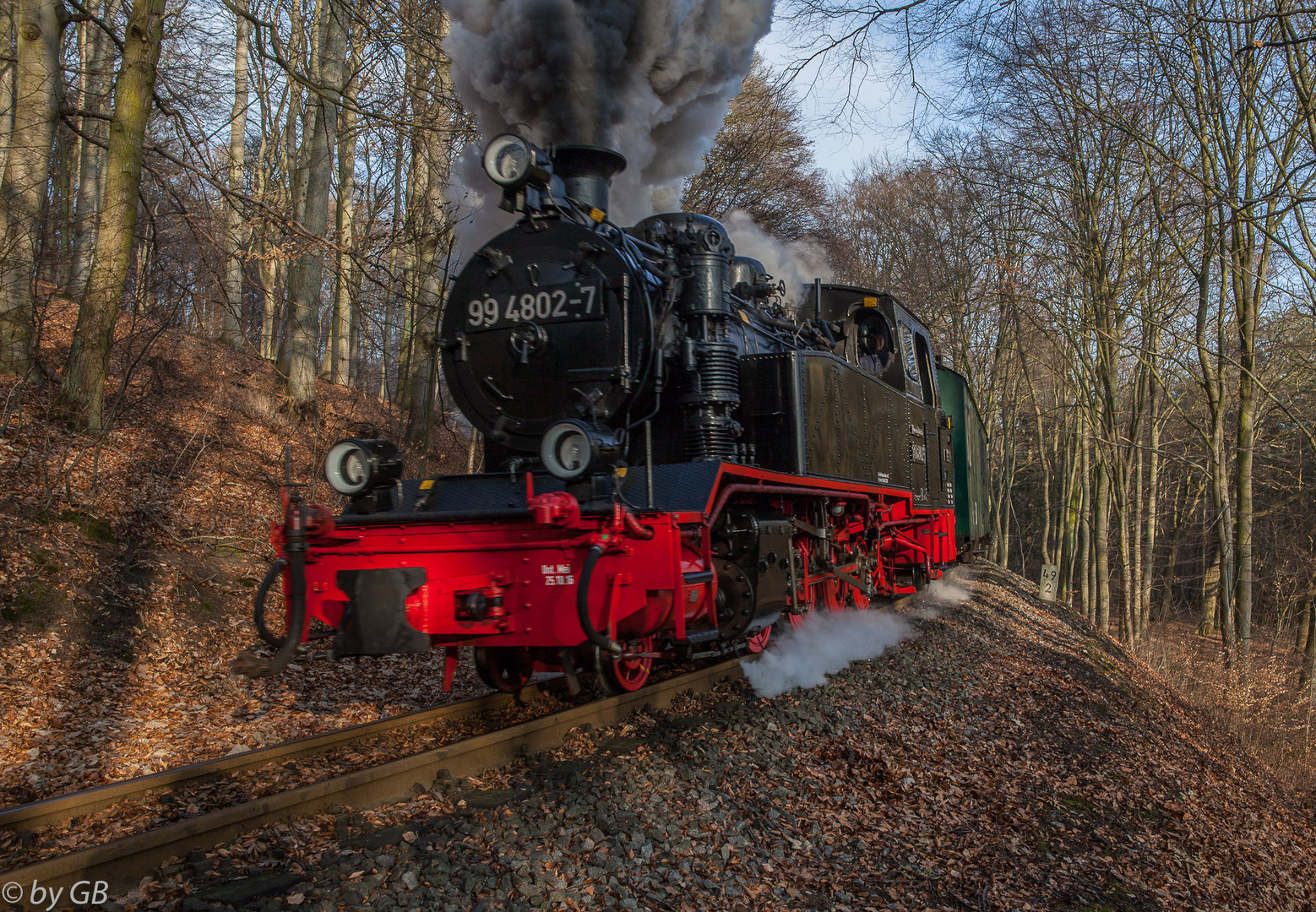 Der Rasende Roland beim Jagdschloss Granitz