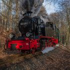 Der Rasende Roland beim Jagdschloss Granitz