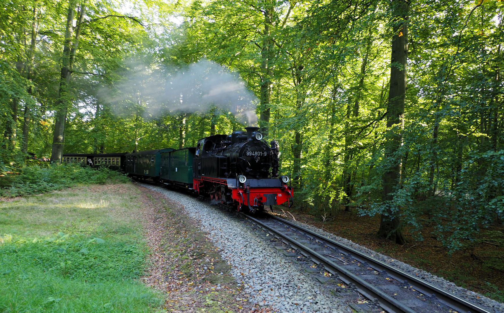 Der Rasende Roland rast durch den Wald ....