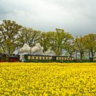 der "rasende Roland" - zwischen Hagelschauer und Starkregen...