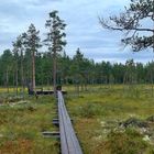 Der Rastplatz mitten im Moor - Hamra Nationalpark