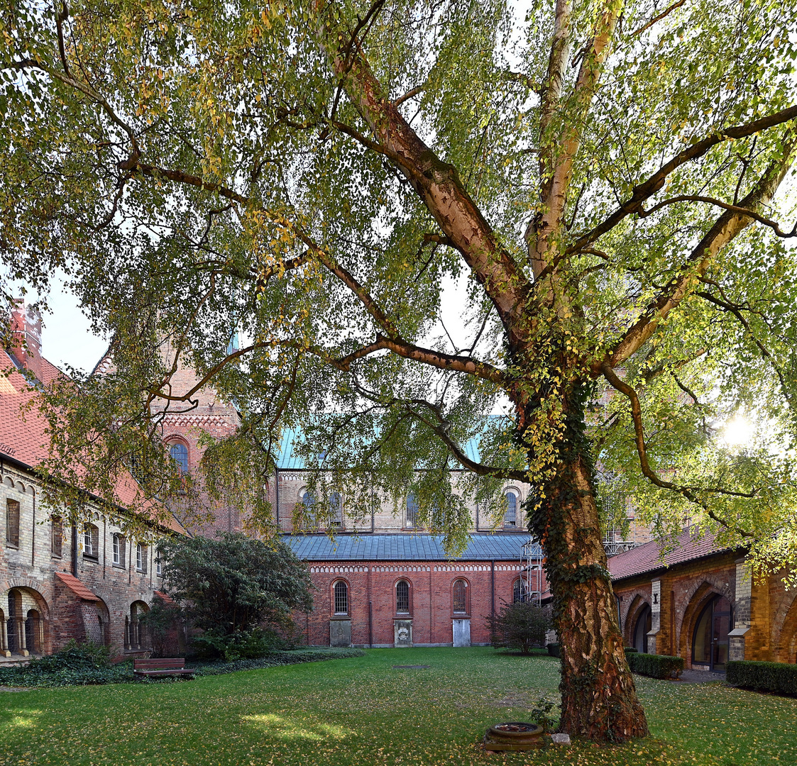 Der Ratzeburger Dom