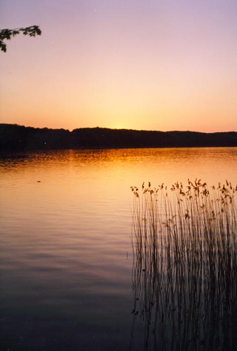 Der Ratzeburger See an einem Sommerabend