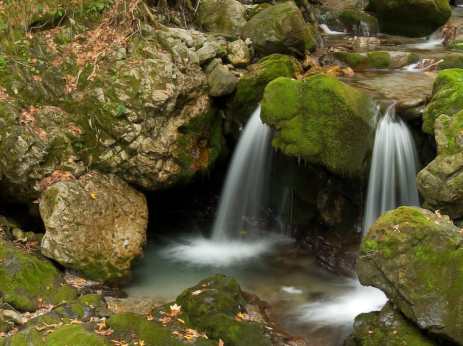 der rauschende Wildbach