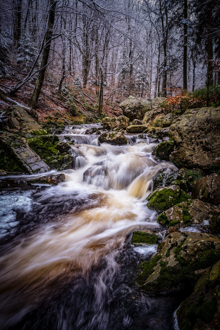 der rauschende Wildbach