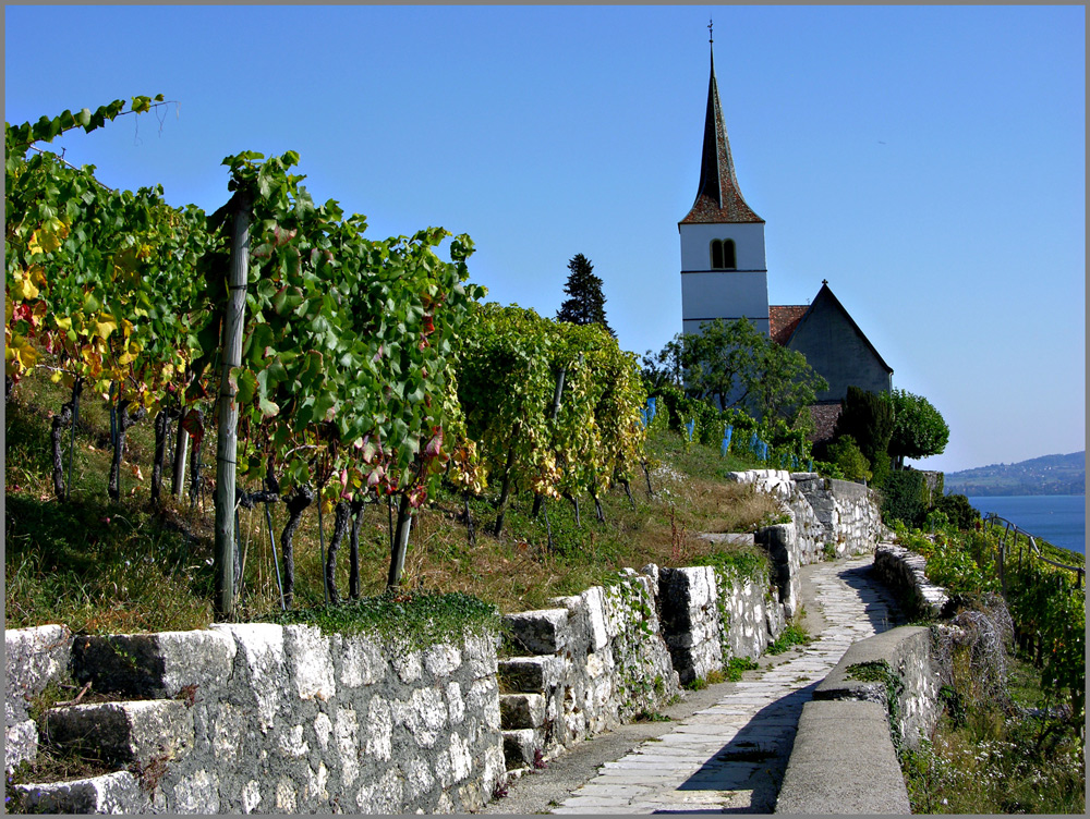 der Rebenweg