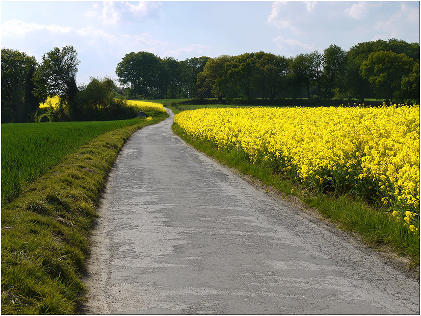 der rechte Weg ???