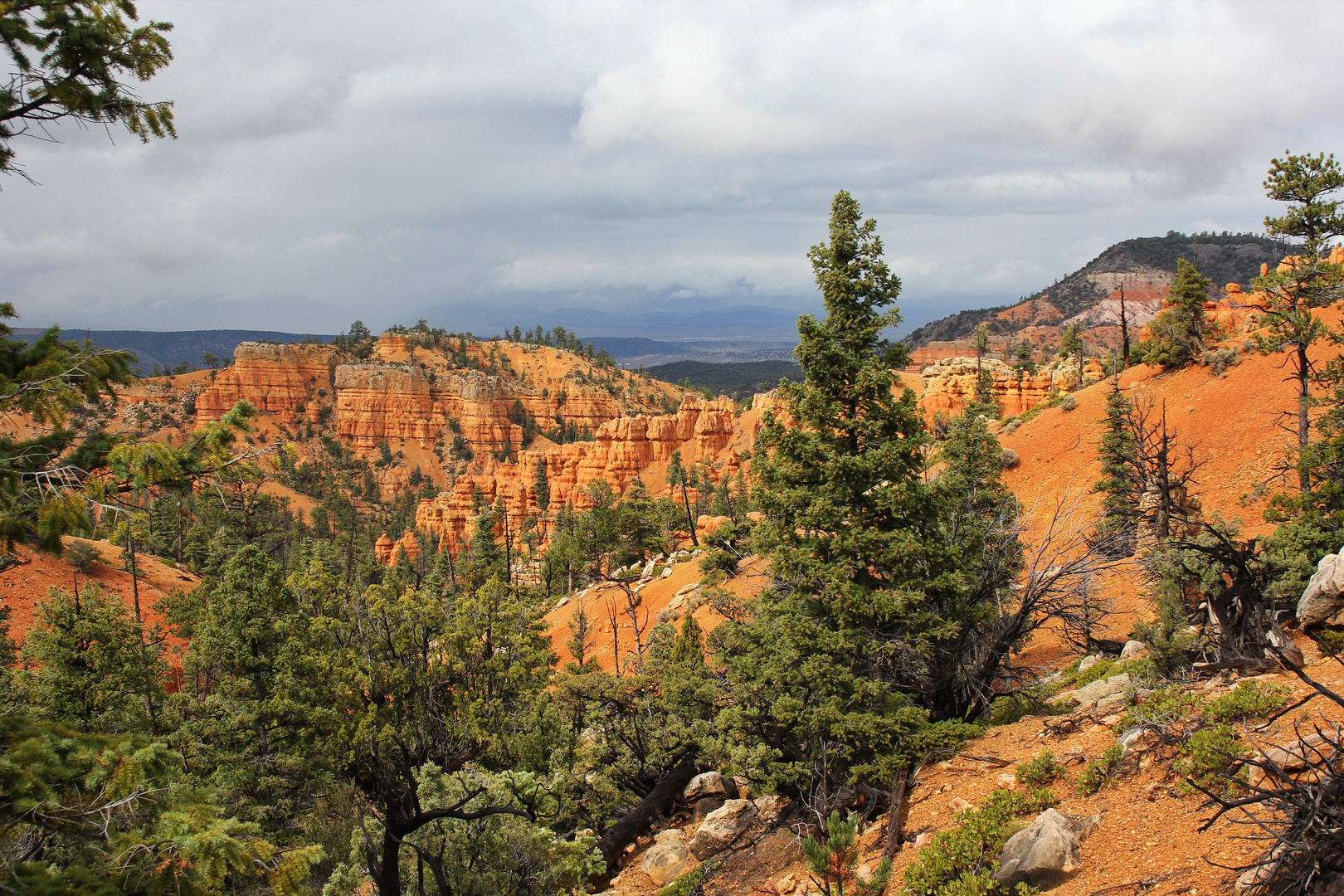 Der Red Canyon / Utah....