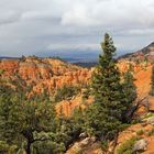 Der Red Canyon / Utah....