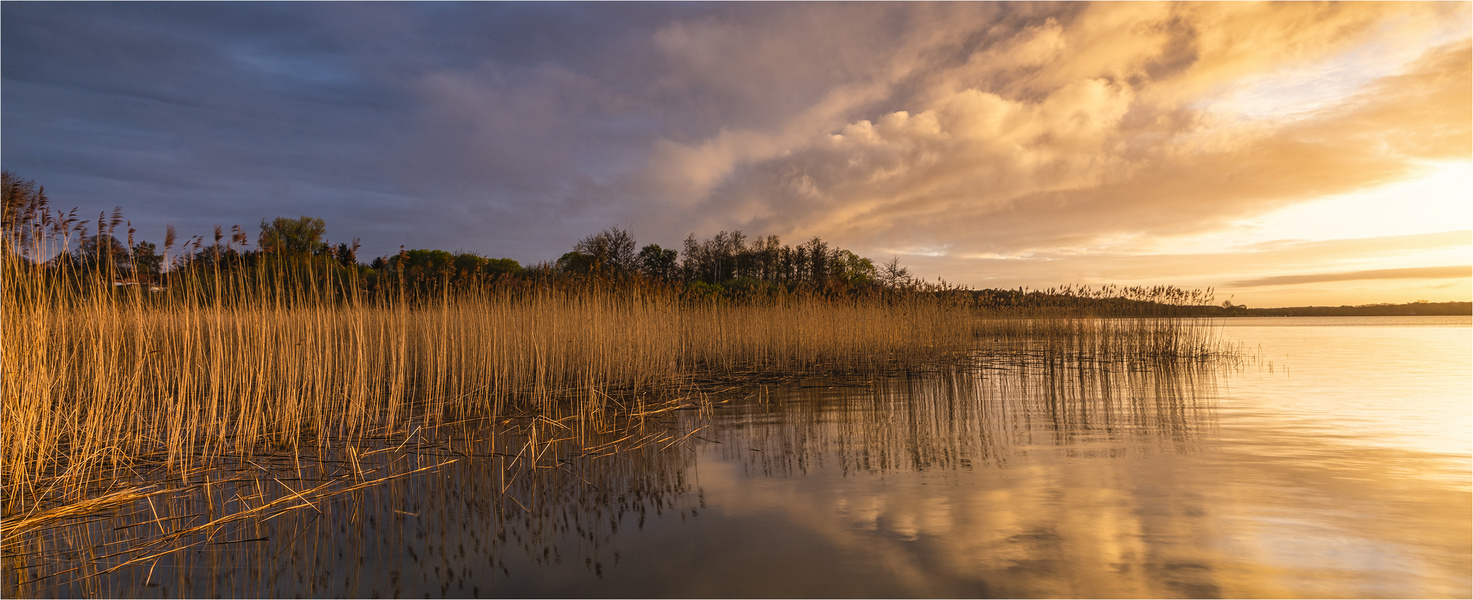 … Der Reet-Herbst liegt im Frühling …