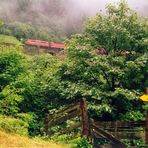 Der Regen bestimmte den Gehalt der Zäsur