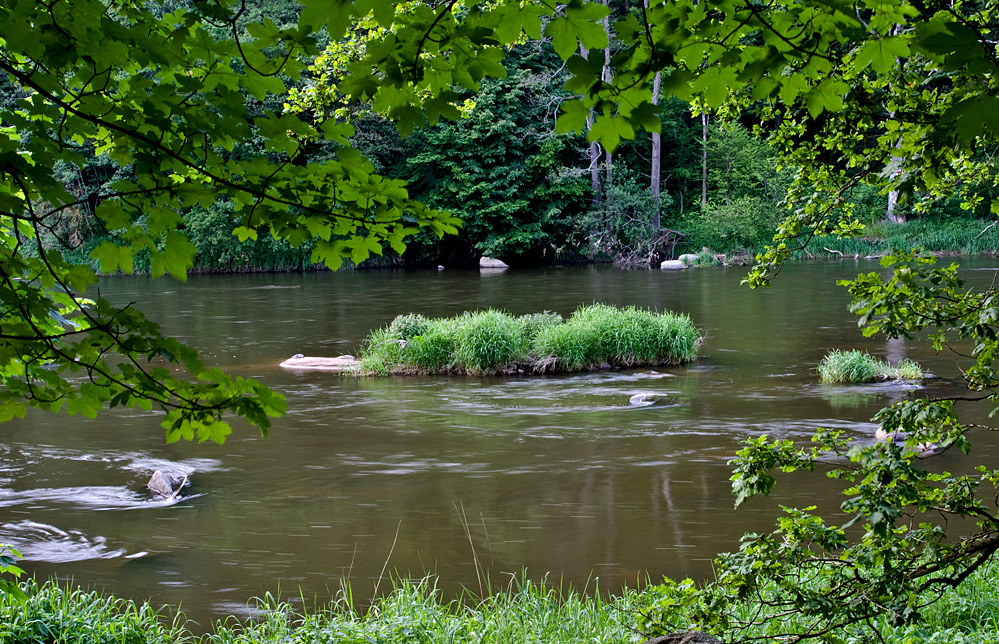 Der Regen