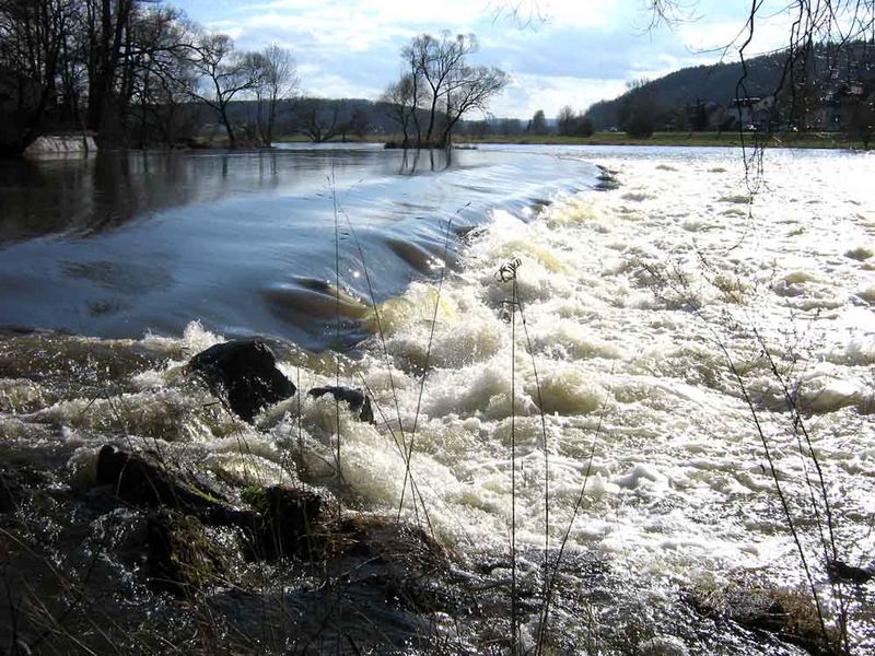 Der Regen ein Nebenfluß der Donau