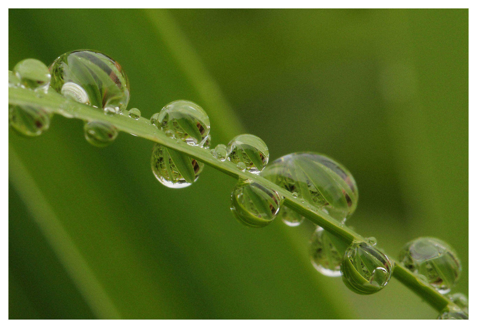 Der Regen...