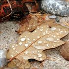 Der Regen hat seine Spuren hinterlassen.