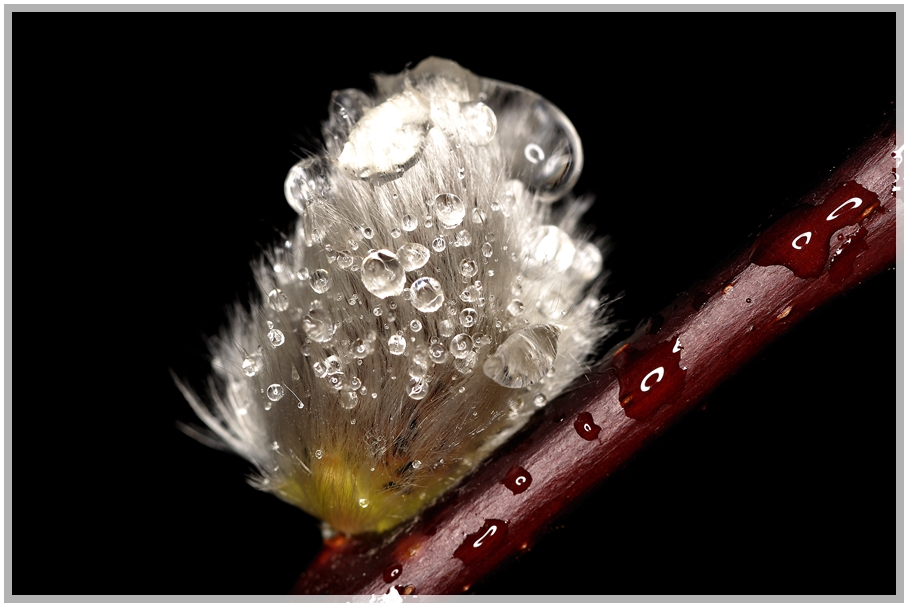 Der Regen hat seine Spuren hinterlassen