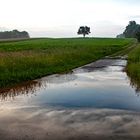 Der Regen hat sich auf den Weg gemacht ....