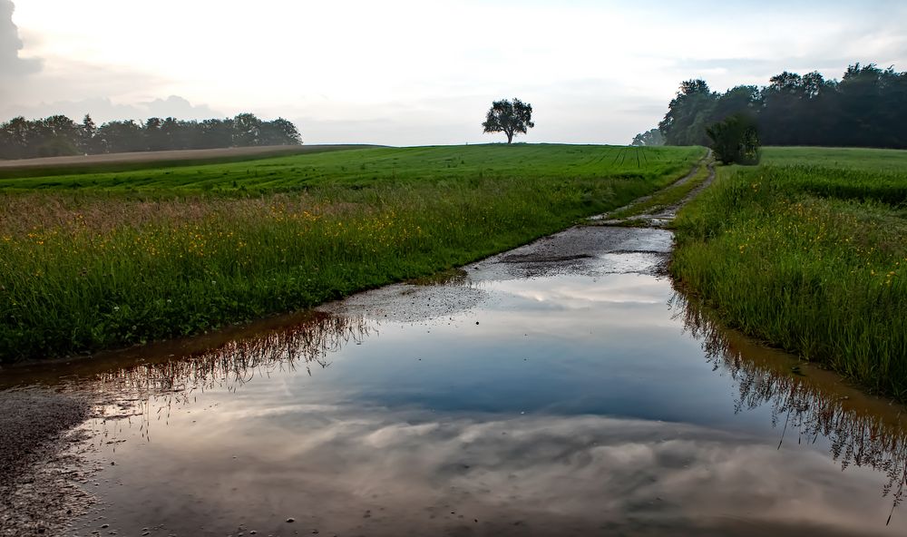 Der Regen hat sich auf den Weg gemacht ....