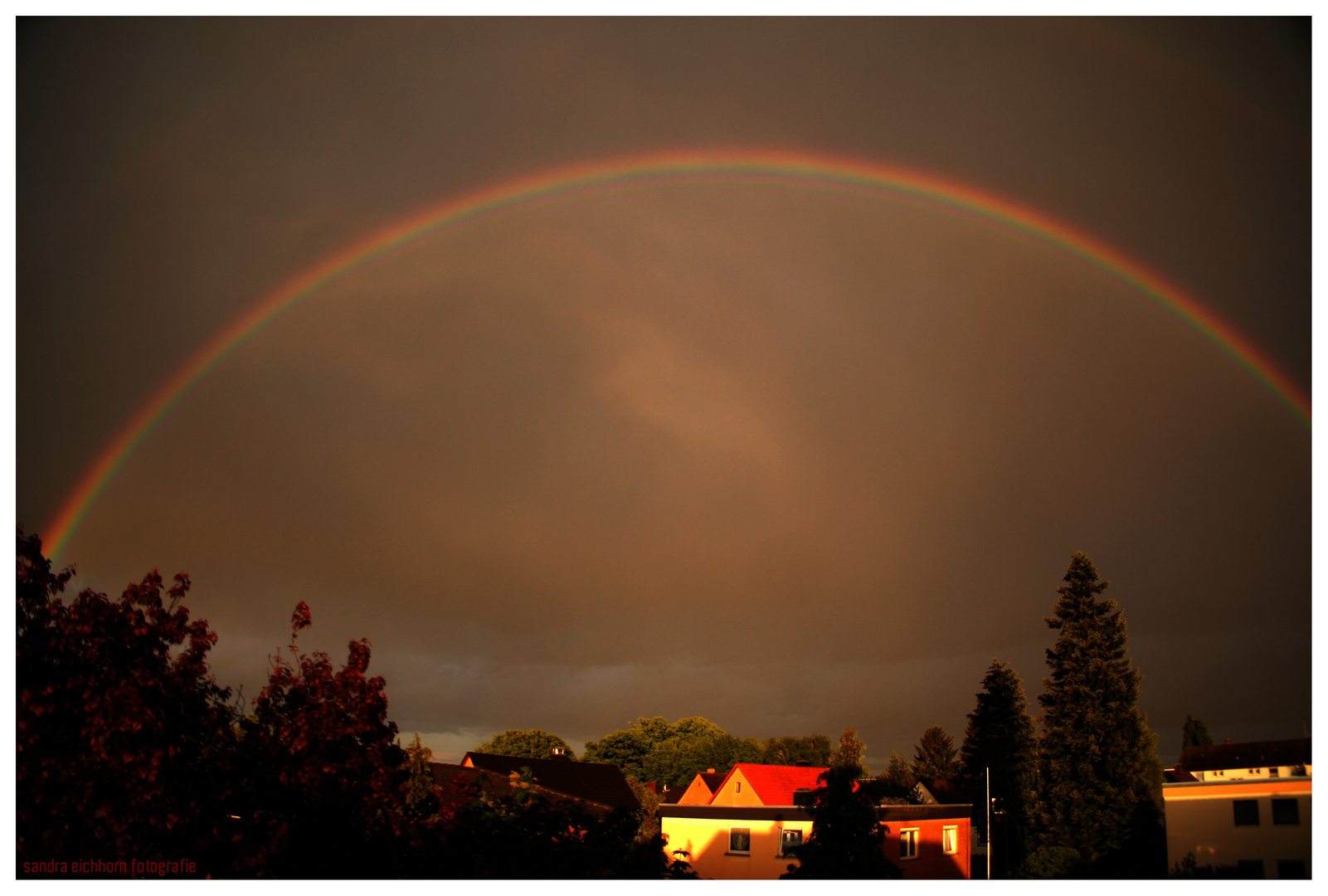 der Regen hats gebogen