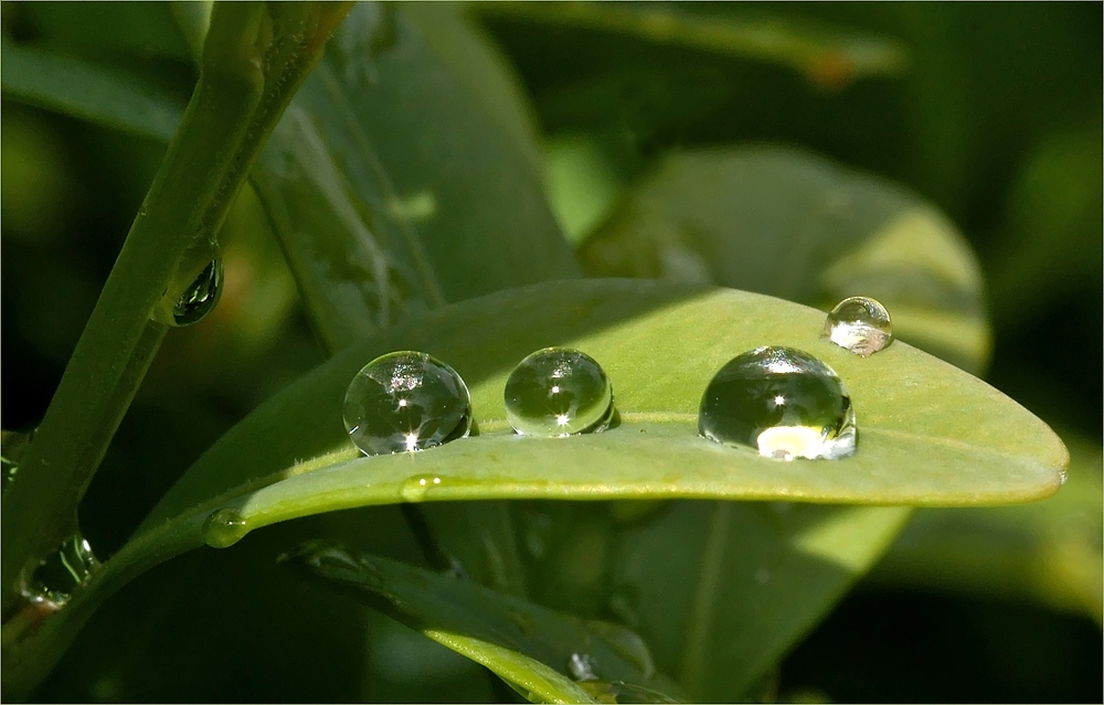 Der Regen hinterlässt seine Spuren...