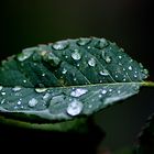 Der Regen hinterlässt seine Spuren...