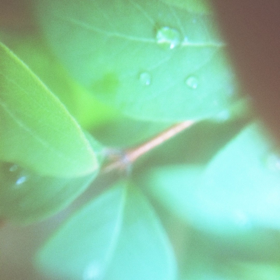 "Der Regen ist gut. .so sieht niemand unser Tränen.. .