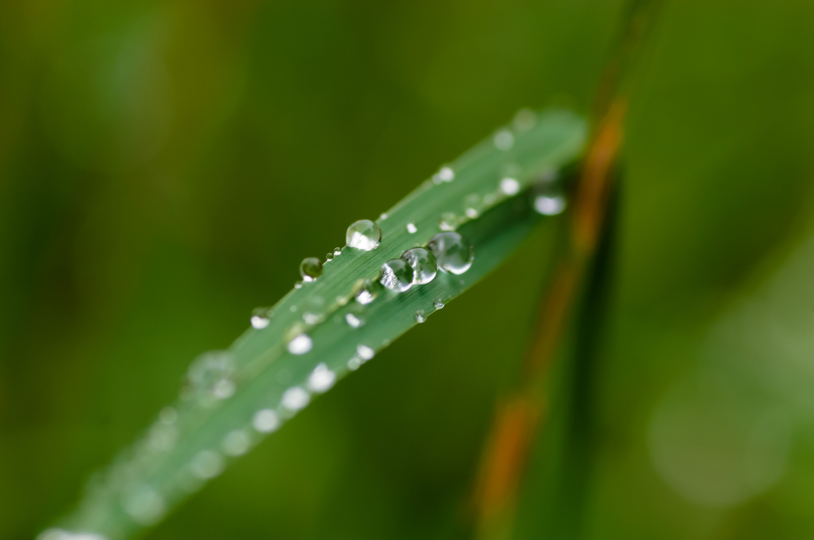 Der Regen ist vorbei ...