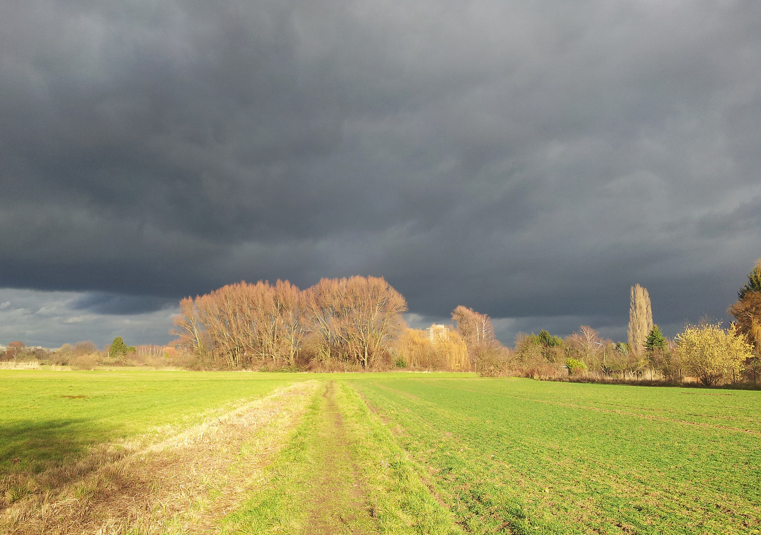 ....... der Regen kommt bestimmt .......