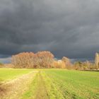 ....... der Regen kommt bestimmt .......