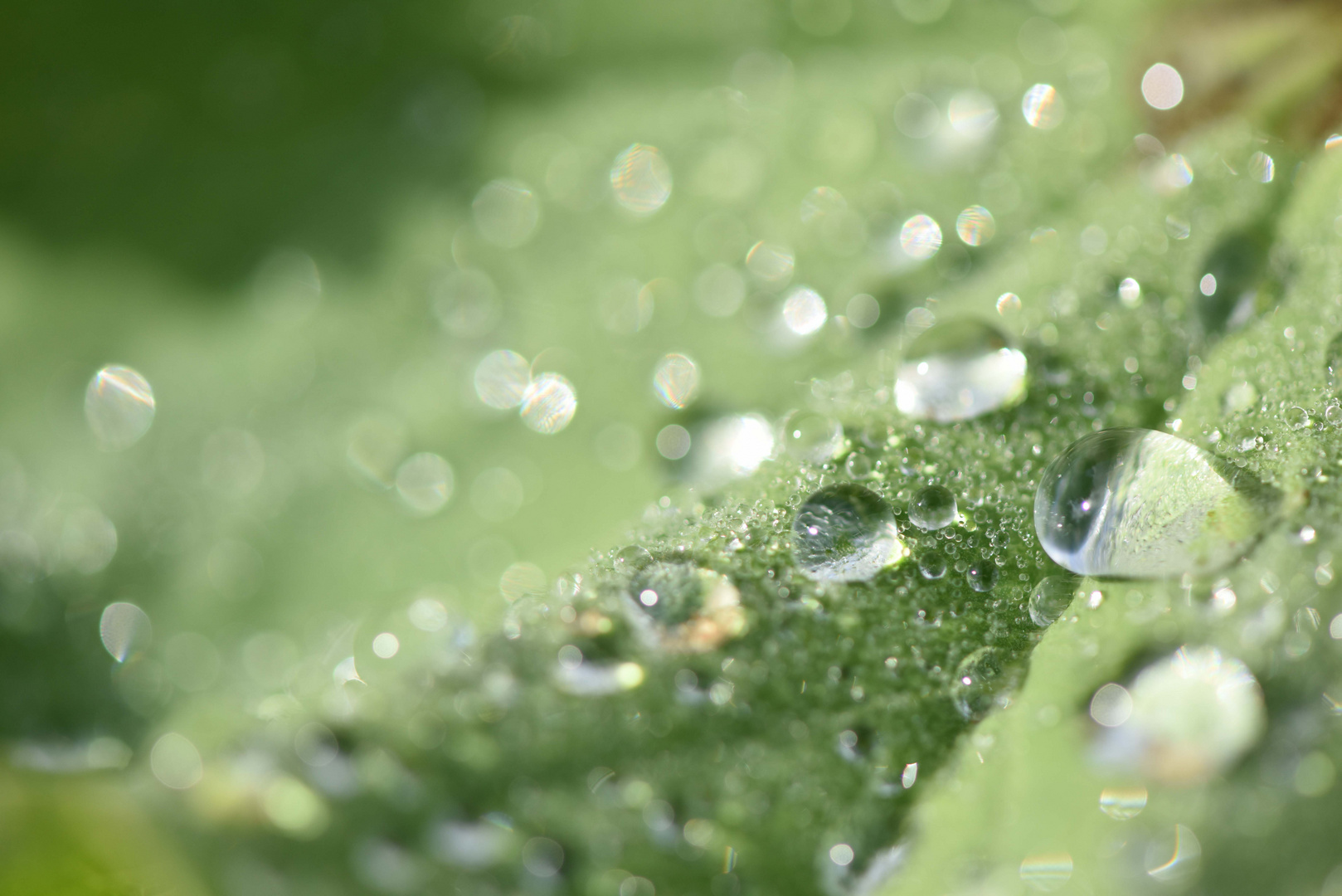 Der Regen perlt ab