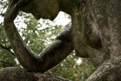 Der Regen stört meine Gedanken nicht