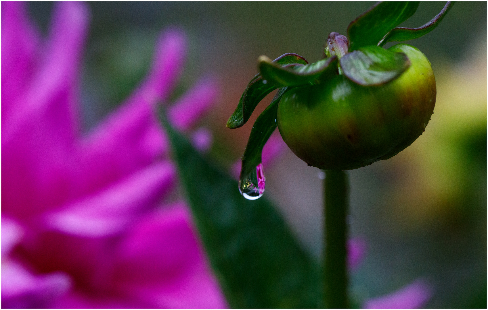 Der Regen tut gut