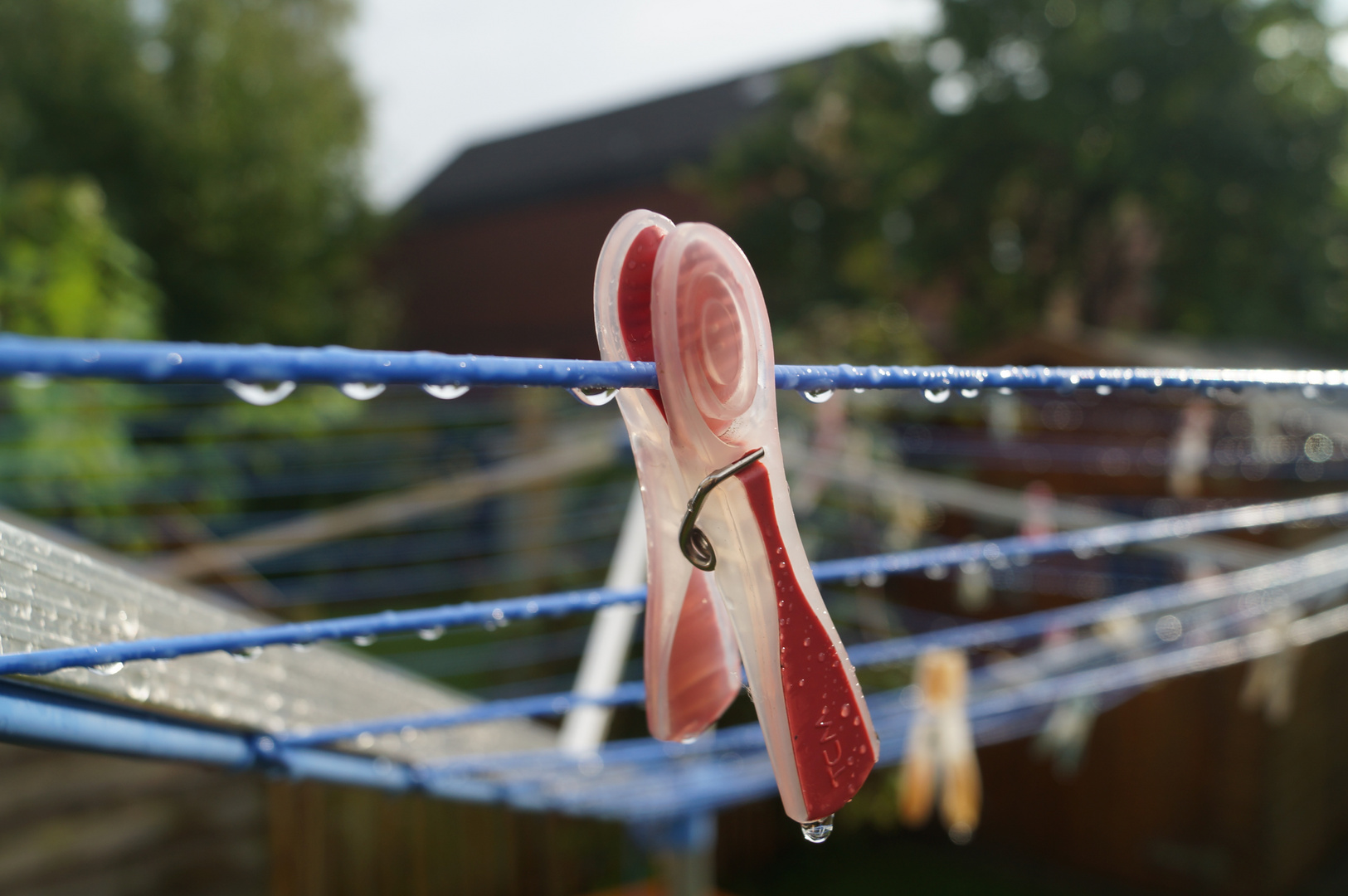 Der Regen (und die Wäscheklammer)