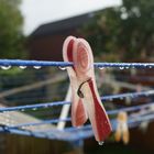 Der Regen (und die Wäscheklammer)