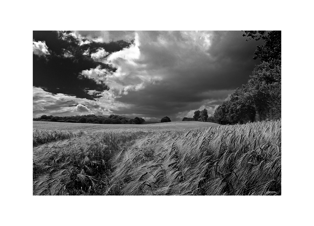 Der Regen wird gebraucht