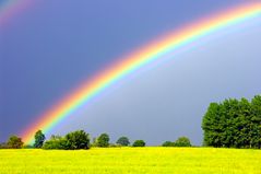 Der Regenbogen