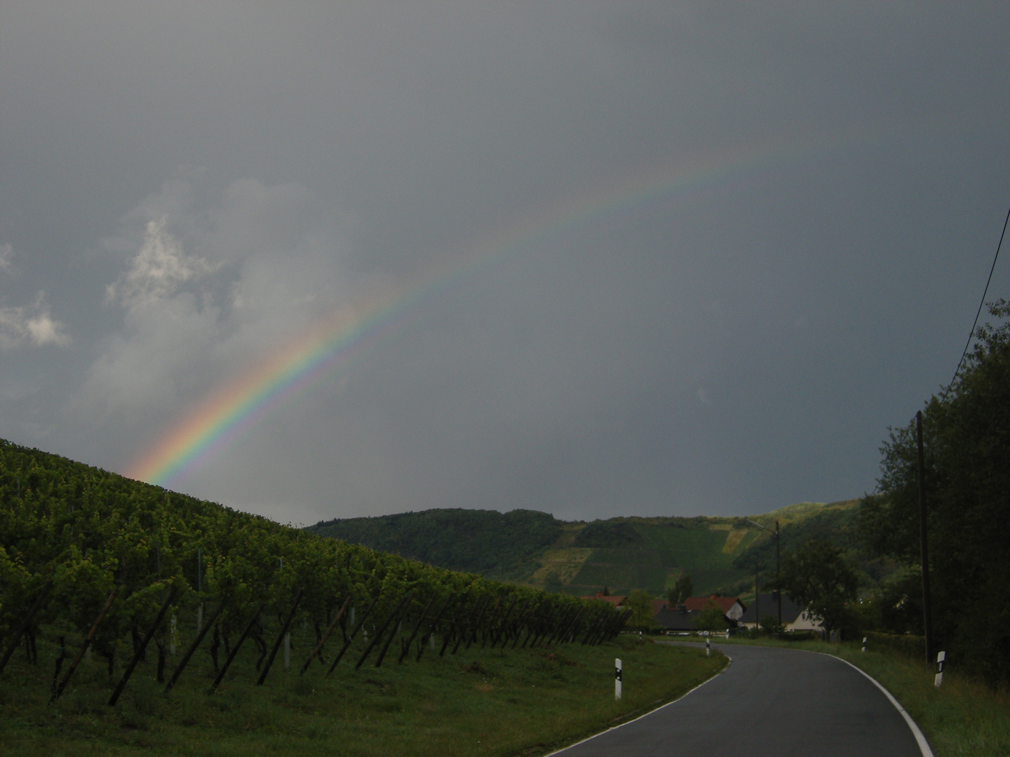 Der Regenbogen 2