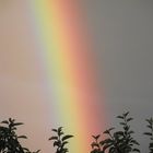 Der Regenbogen