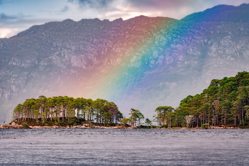 Der Regenbogen