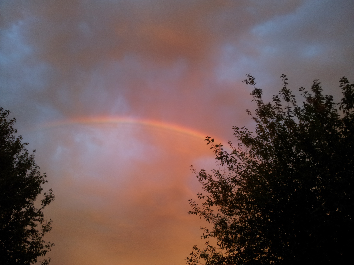 der Regenbogen