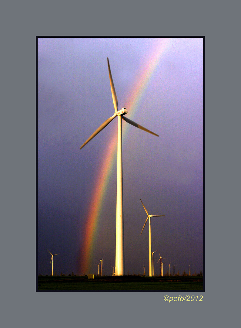 Der Regenbogen