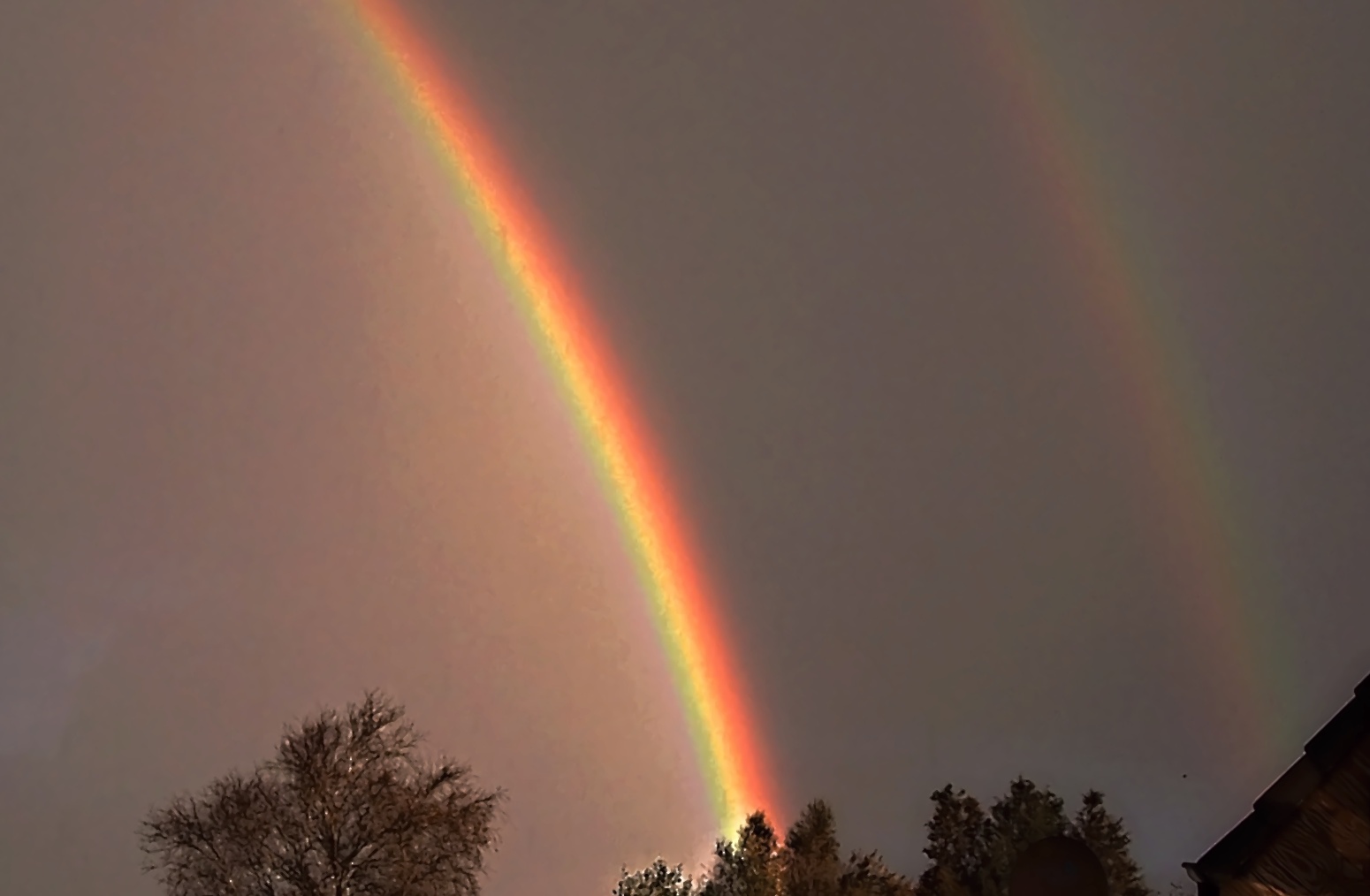 Der Regenbogen