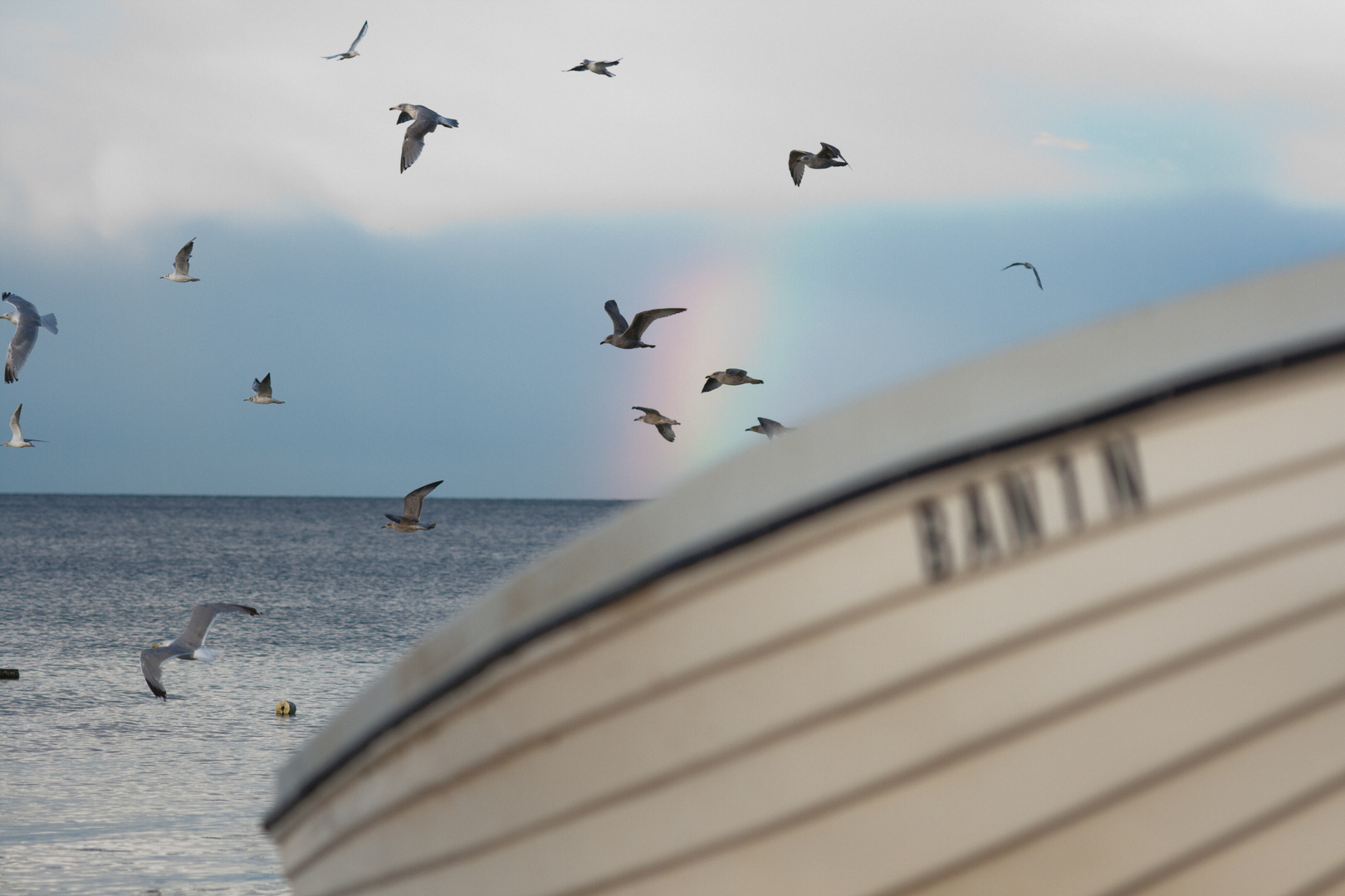 der Regenbogen