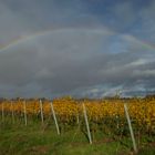 DER REGENBOGEN