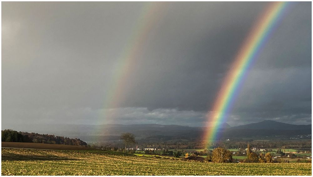 der Regenbogen