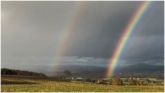 der Regenbogen