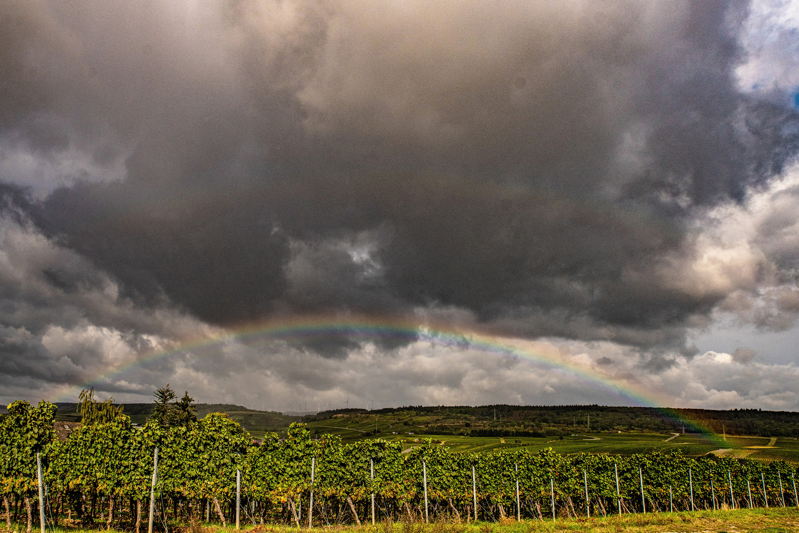 Der Regenbogen...