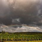 Der Regenbogen...