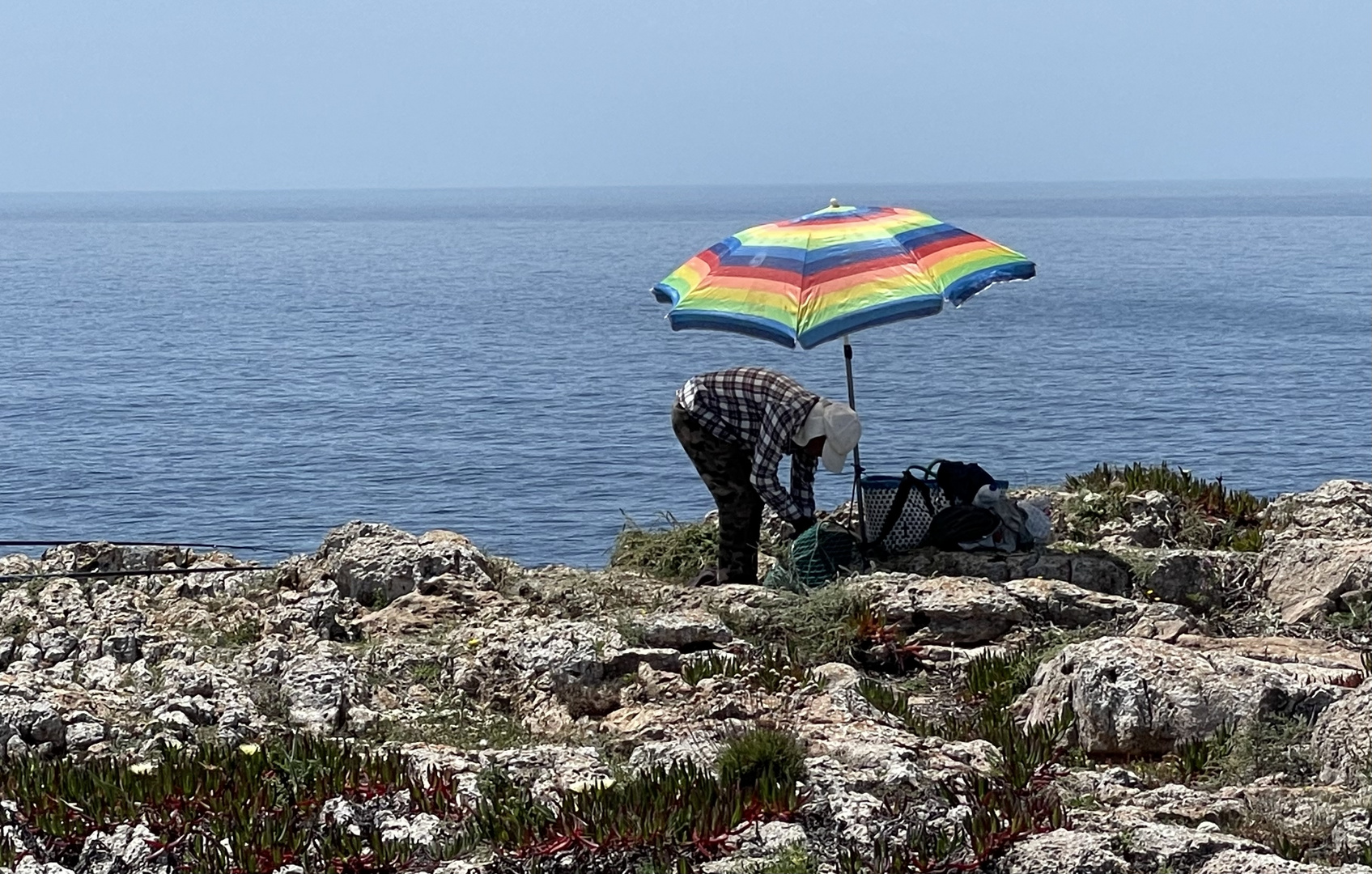 Der Regenbogen - Angler 